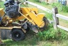 Anabranch Southstump-grinding-services-3.jpg; ?>