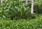 Anabranch Southtropical-landscaping-4.jpg; ?>