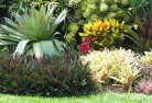 Anabranch Southtropical-landscaping-9.jpg; ?>